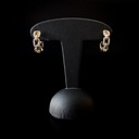 Boucles d'oreilles brillants