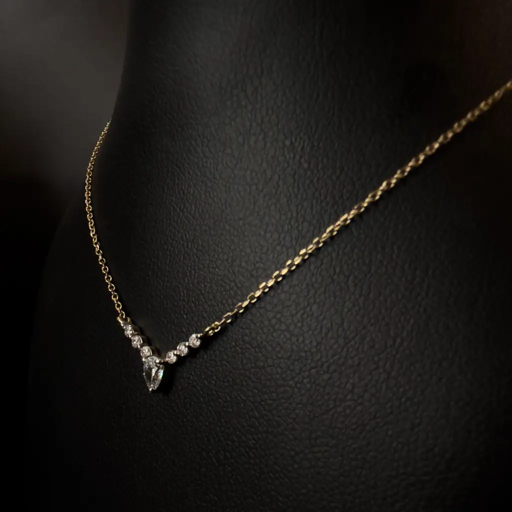 IMG_2041.webp