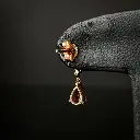 IMG_2446_jpg.webp