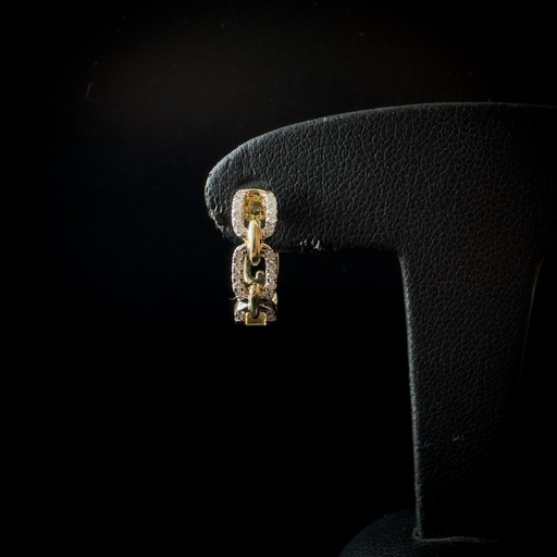 [BPC06GHY] Boucles d'oreilles brillants