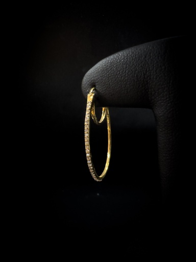 [2.5009.20] Créoles brillants